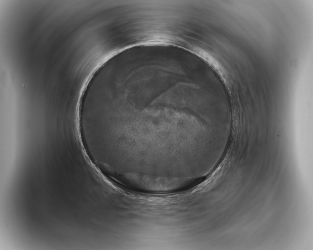 X0000093741480200710161130