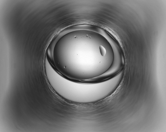 X0000093741481200710161130