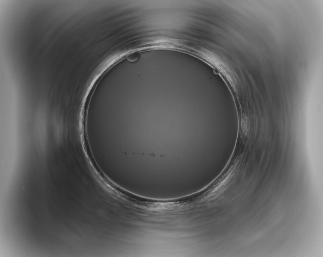 X0000093741482200710161130