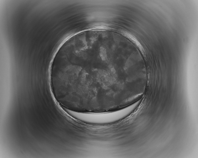 X0000093741483200710161130