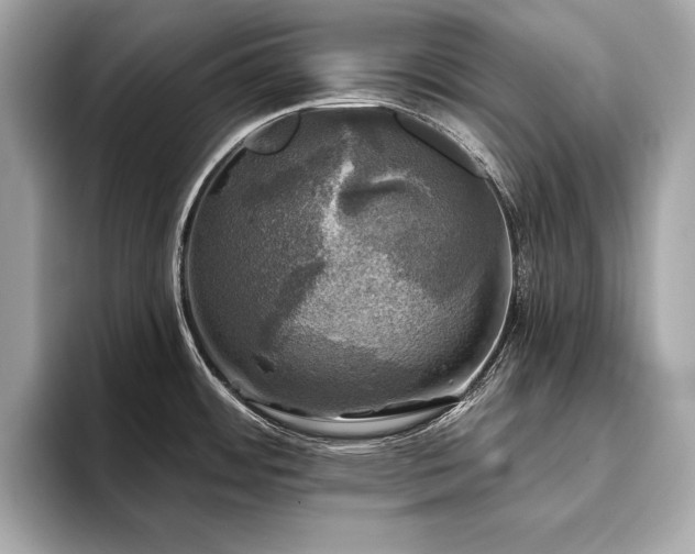 X0000093741484200710161130