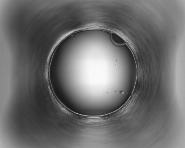 X0000093741486200710161130