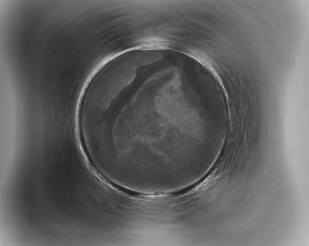 X0000093741488200710161130
