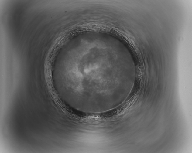 X0000093741489200710161129