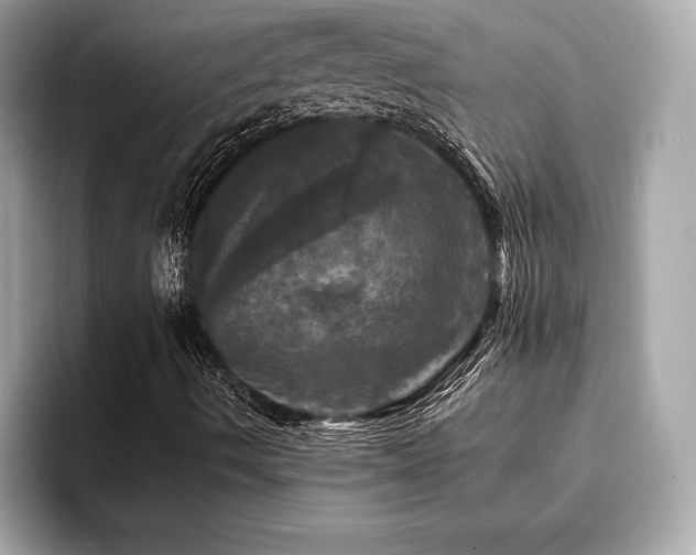 X0000093741490200710161129