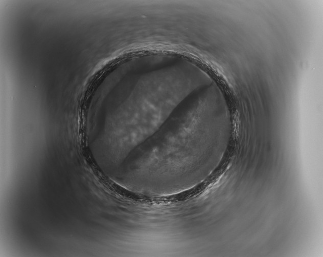 X0000093741494200710161129