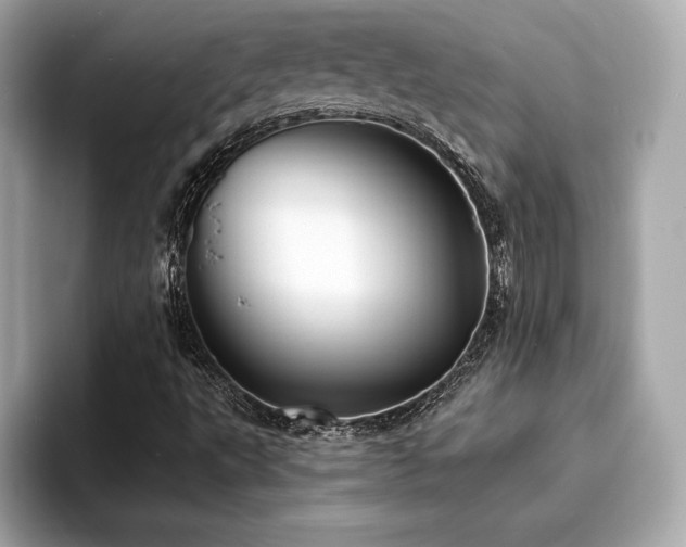 X0000093741495200710161129