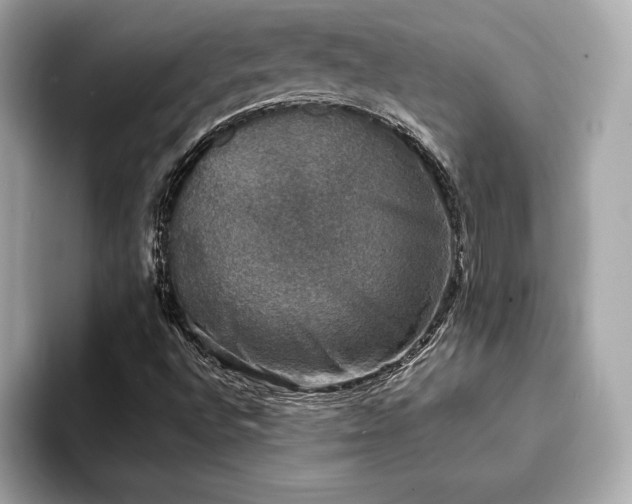 X0000093741496200710161129