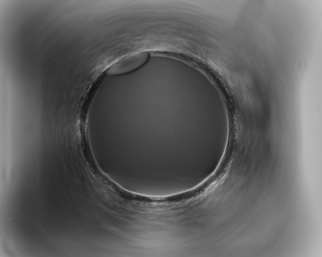 X0000093741497200710161129
