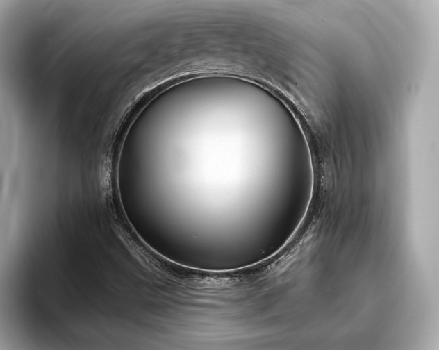 X0000093741499200710161129