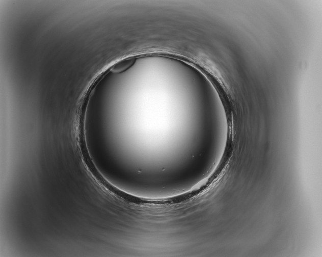 X0000093741500200710161129