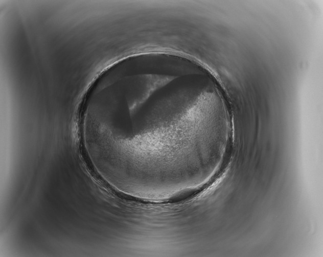 X0000093741501200710161129