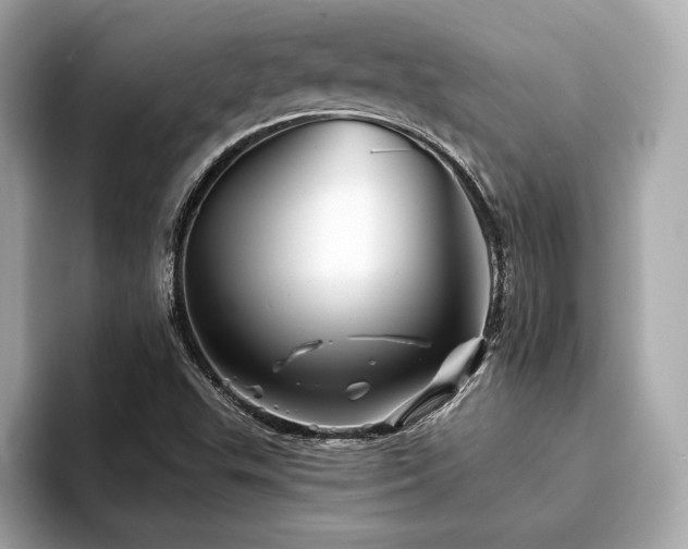 X0000093741503200710161129