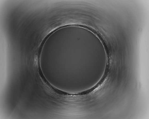 X0000093741505200710161129