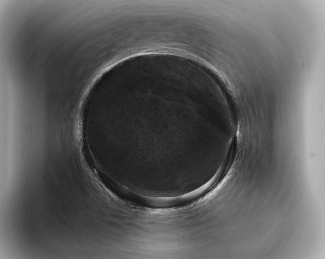 X0000093741506200710161129