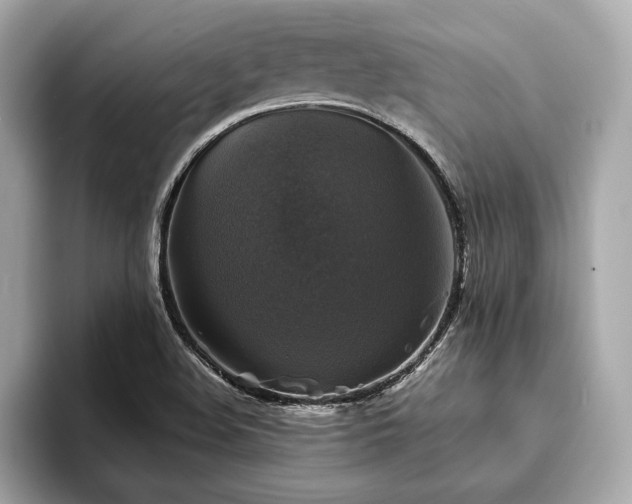 X0000093741508200710161129