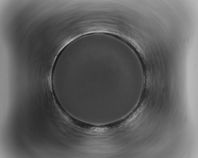X0000093741513200710161129