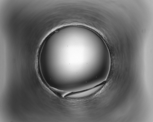 X0000093741518200710161130