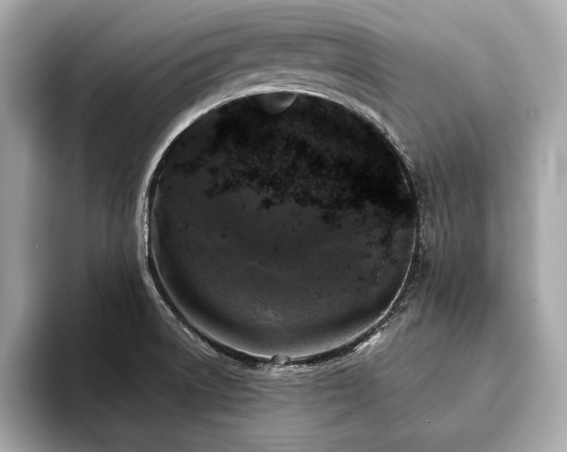X0000093741522200710161130