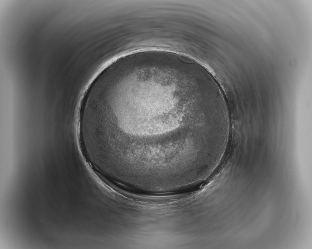 X0000093741523200710161130