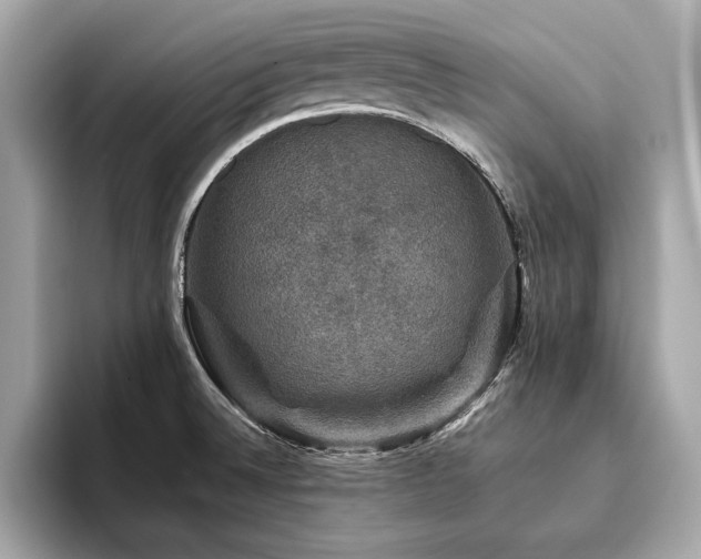 X0000093741524200710161130