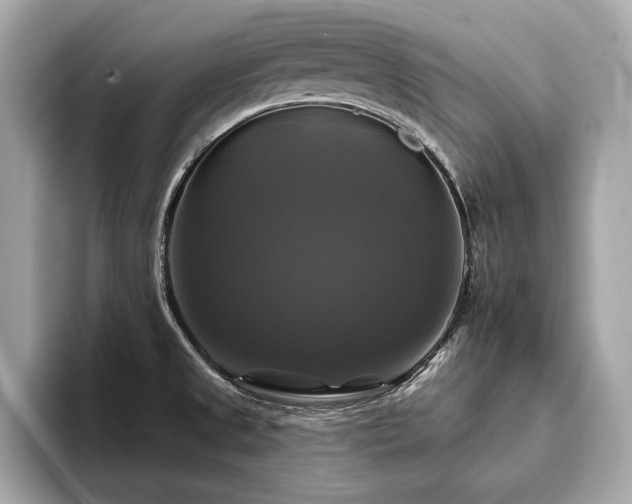 X0000093741525200710161130
