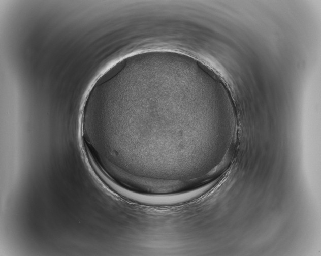X0000093741528200710161130