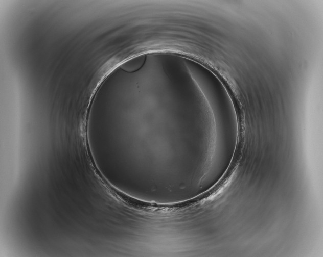 X0000093741529200710161130