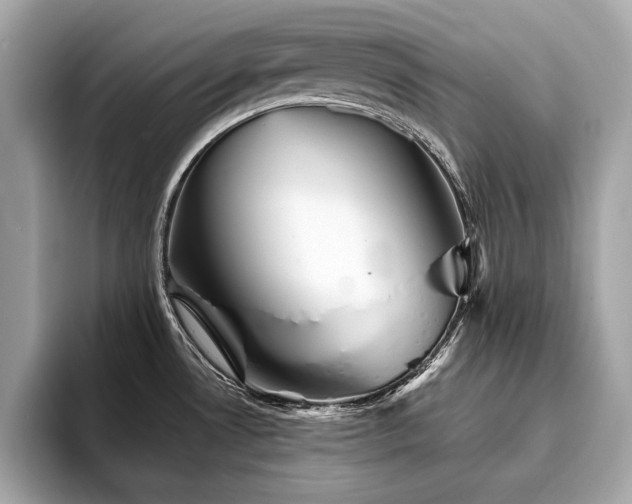 X0000093741530200710161130