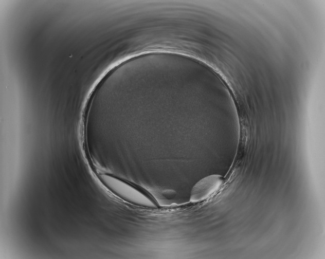 X0000093741531200710161130