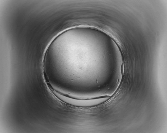 X0000093741532200710161130