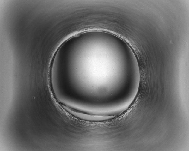X0000093741534200710161130