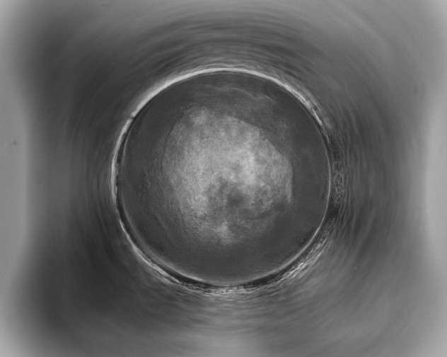 X0000093741535200710161130