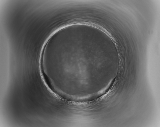 X0000093741536200710161130