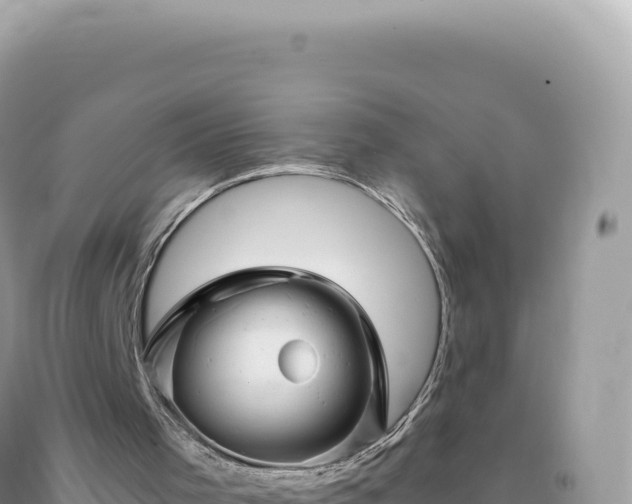 X0000093740001200710231221