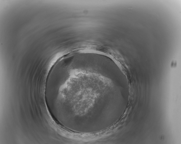 X0000093740003200710231221