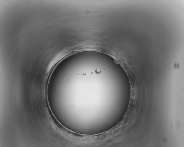 X0000093740004200710231221