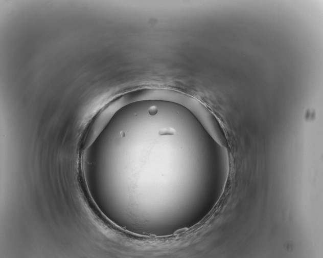 X0000093740005200710231221