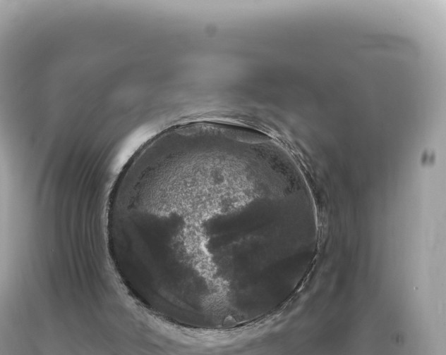 X0000093740006200710231221