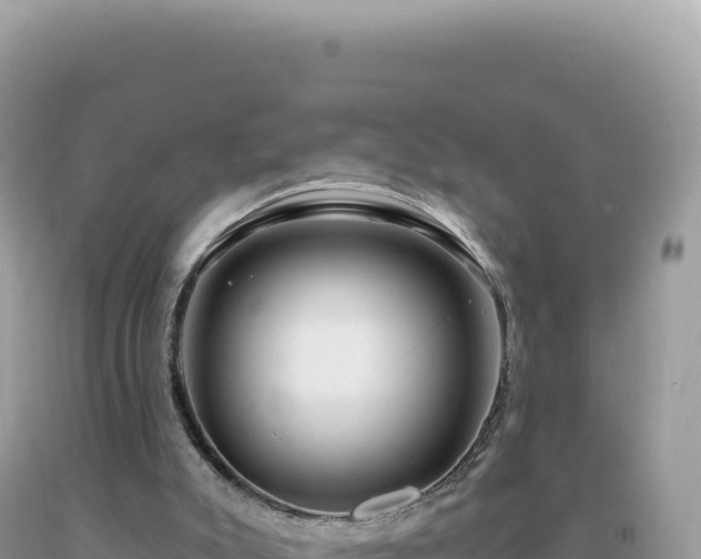 X0000093740007200710231221