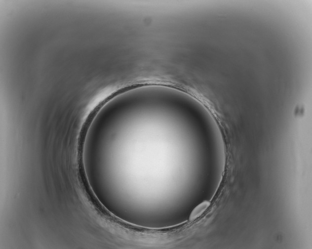 X0000093740008200710231221