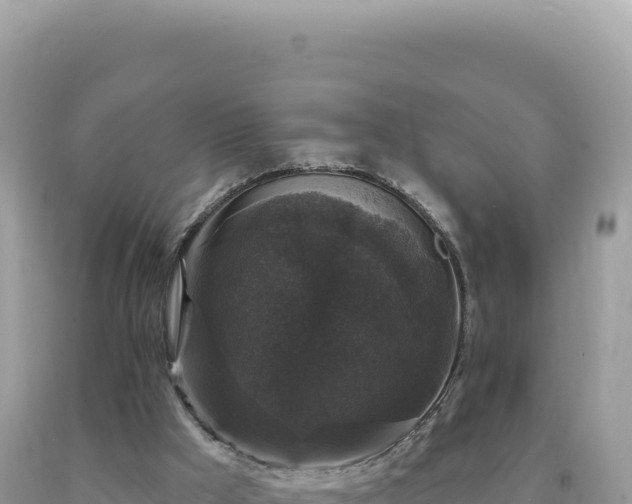 X0000093740009200710231221