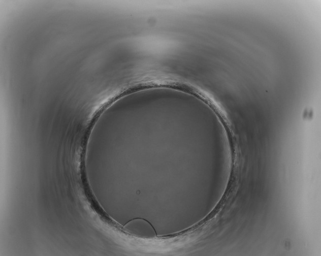 X0000093740010200710231221