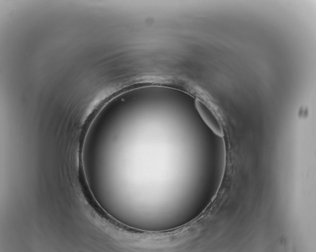 X0000093740011200710231221