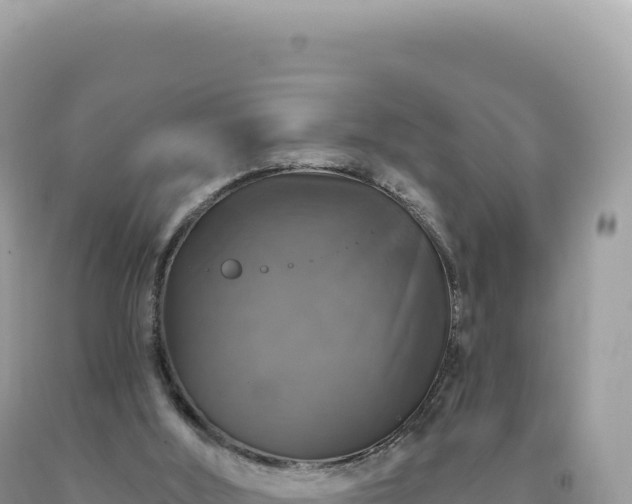 X0000093740012200710231221