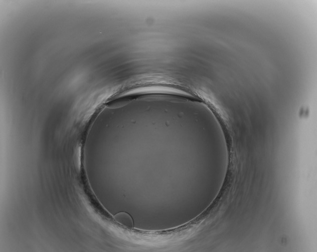 X0000093740014200710231221