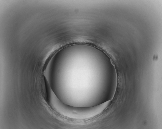 X0000093740015200710231221