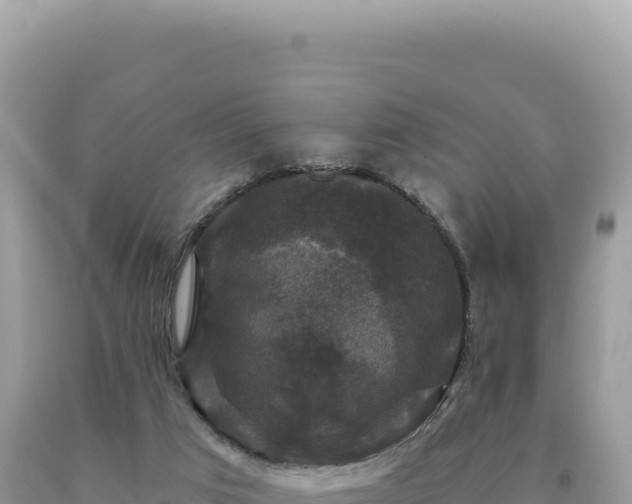 X0000093740017200710231221