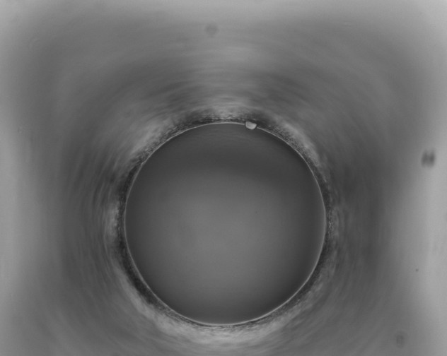 X0000093740018200710231221