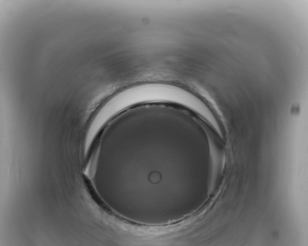 X0000093740019200710231221